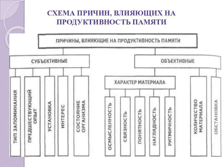 СХЕМА ПРИЧИН, ВЛИЯЮЩИХ НА ПРОДУКТИВНОСТЬ ПАМЯТИ