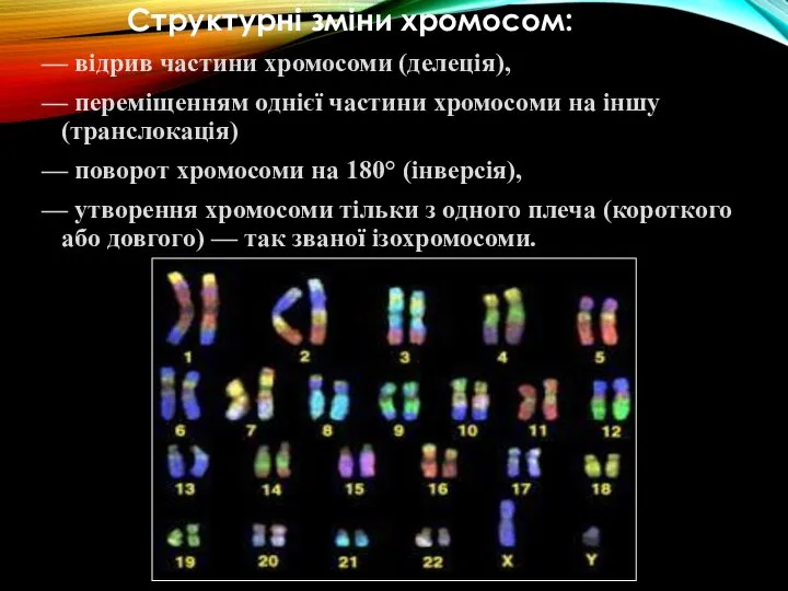 Структурні зміни хромосом: — відрив частини хромосоми (делеція), — переміщенням однієї частини