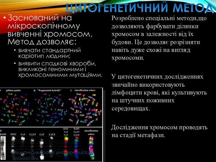 Заснований на мікроскопічному вивченні хромосом. Метод дозволяє: вивчати стандартний каріотип людини; виявити