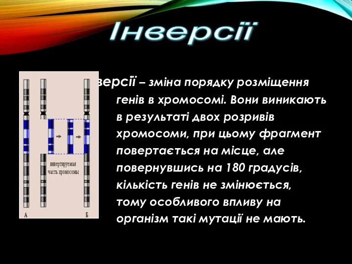 Інверсії Інверсії – зміна порядку розміщення генів в хромосомі. Вони виникають в