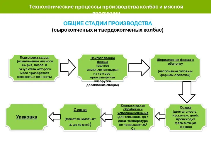 Технологические процессы производства колбас и мясной продукции ОБЩИЕ СТАДИИ ПРОИЗВОДСТВА (сырокопченых и