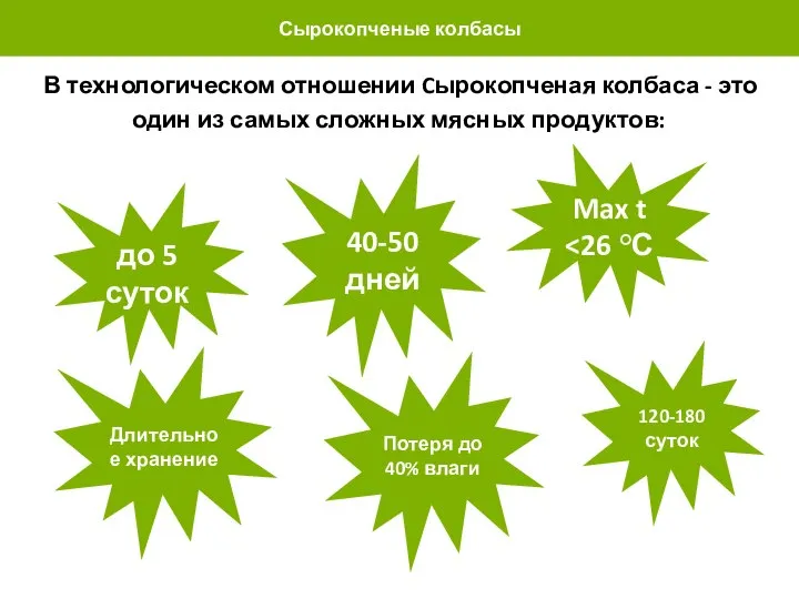 Сырокопченые колбасы В технологическом отношении Cырокопченая колбаса - это один из самых