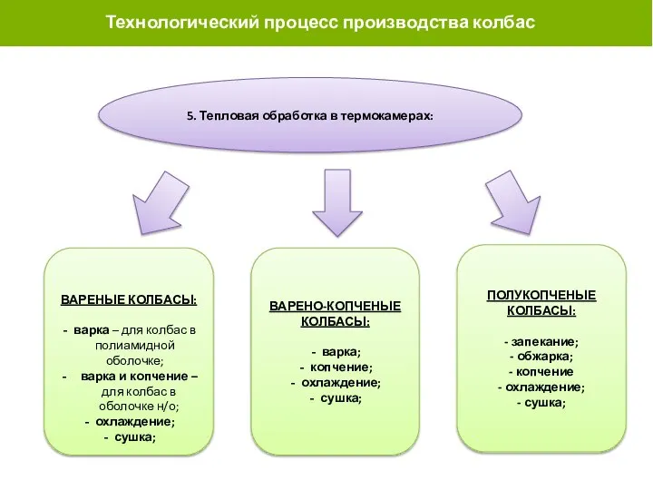 ТЕХНОЛОГИЧЕСКИЙ ПРОЦЕСС ПРОИЗВОДСТВА РАЗЛИЧНЫХ КОЛБАС 5. Тепловая обработка в термокамерах: ВАРЕНЫЕ КОЛБАСЫ: