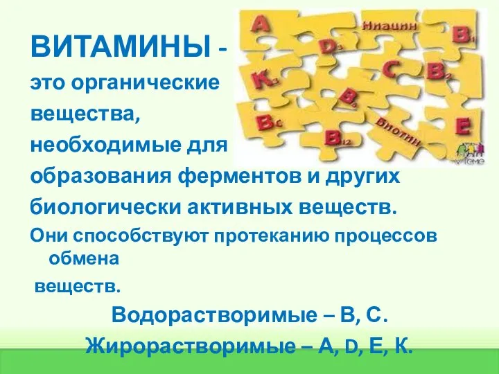 ВИТАМИНЫ - это органические вещества, необходимые для образования ферментов и других биологически