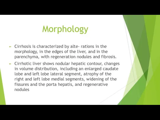 Morphology Cirrhosis is characterized by alte- rations in the morphology, in the