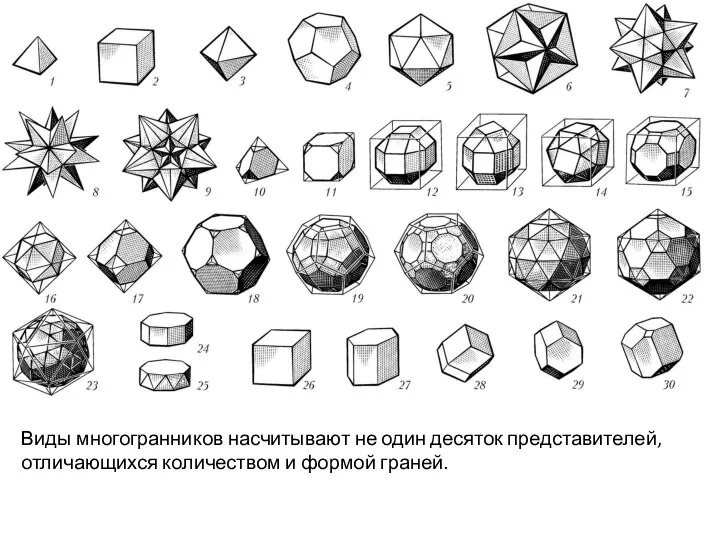 Виды многогранников насчитывают не один десяток представителей, отличающихся количеством и формой граней.