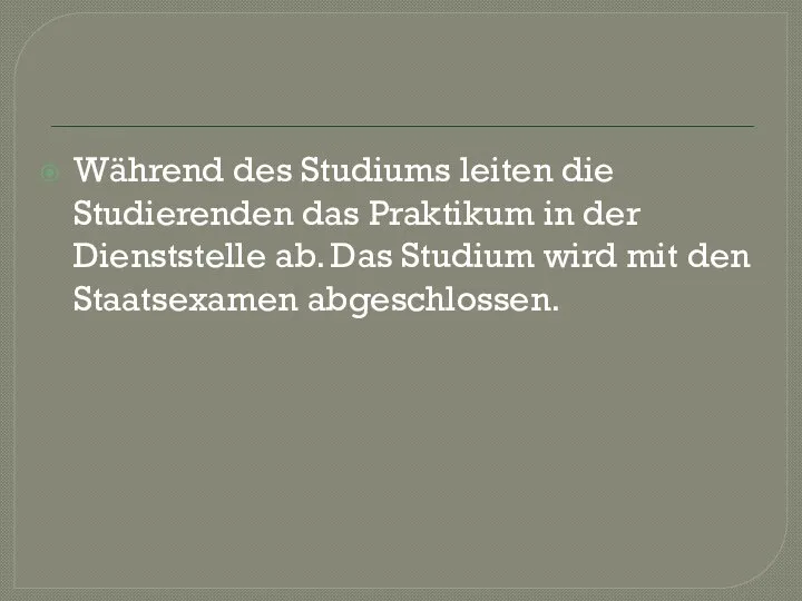 Während des Studiums leiten die Studierenden das Praktikum in der Dienststelle ab.