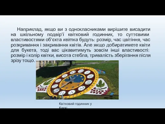 Наприклад, якщо ви з однокласниками вирішите висадити на шкільному подвір’ї квітковий годинник,