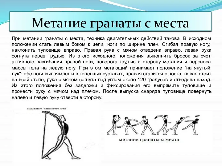 Метание гранаты с места При метании гранаты с места, техника двигательных действий