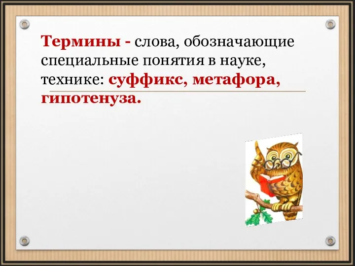 Термины - слова, обозначающие специальные понятия в науке, технике: суффикс, метафора, гипотенуза.