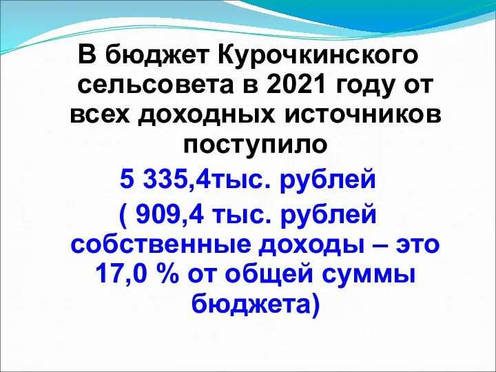 В бюджет Курочкинского сельсовета в 2021 году от всех доходных источников поступило