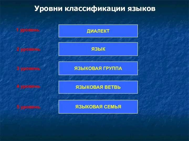 Уровни классификации языков ЯЗЫКОВАЯ ВЕТВЬ ЯЗЫКОВАЯ ГРУППА ЯЗЫК ДИАЛЕКТ 1 уровень 2