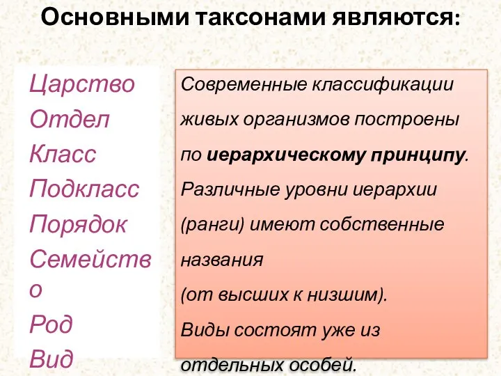 Основными таксонами являются: Царство Отдел Класс Подкласс Порядок Семейство Род Вид Современные