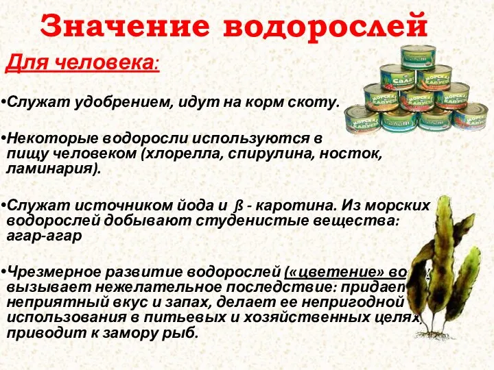 Значение водорослей Для человека: Служат удобрением, идут на корм скоту. Некоторые водоросли