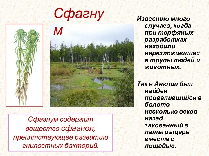 Известно много случаев, когда при торфяных разработках находили неразложившиеся трупы людей и