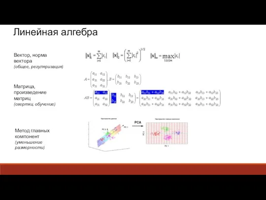 Линейная алгебра Вектор, норма вектора (общее, регуляризация) Матрица, произведение матриц (свертки, обучение)