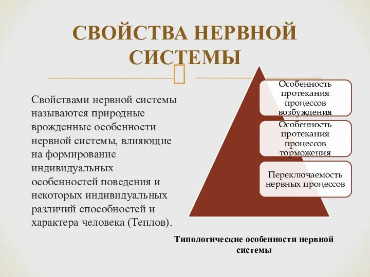 СВОЙСТВА НЕРВНОЙ СИСТЕМЫ Свойствами нервной системы называются природные врожденные особенности нервной системы,