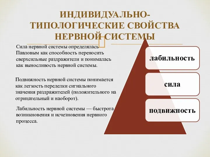 ИНДИВИДУАЛЬНО-ТИПОЛОГИЧЕСКИЕ СВОЙСТВА НЕРВНОЙ СИСТЕМЫ Сила нервной системы определялась Павловым как способность переносить