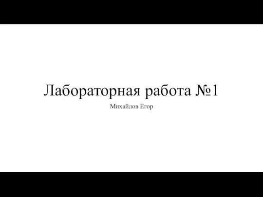 Лабораторная работа №1