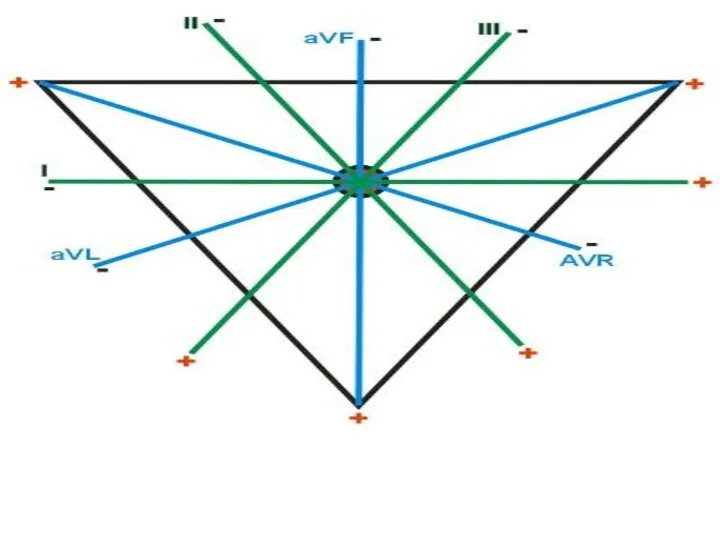 Вектор ЭДС сердца, его построение. Для построение вектора ЭДС сердца нужно построить