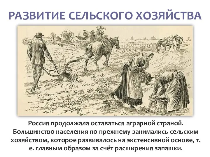 РАЗВИТИЕ СЕЛЬСКОГО ХОЗЯЙСТВА Россия продолжала оставаться аграрной страной. Большинство населения по-прежнему занимались