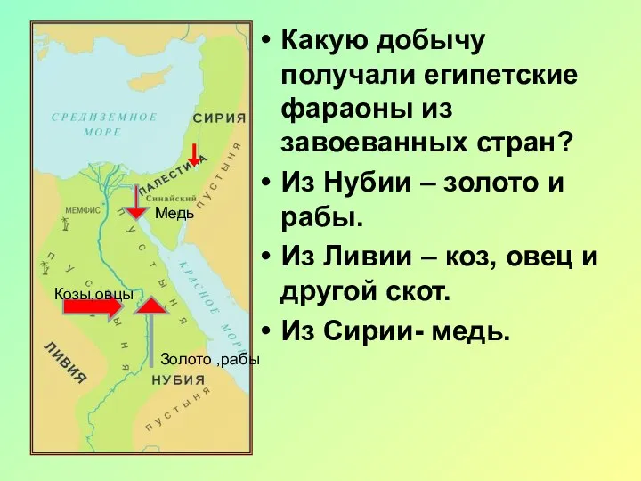 Какую добычу получали египетские фараоны из завоеванных стран? Из Нубии – золото