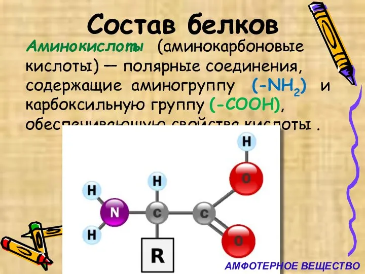 Состав белков Аминокислоты (аминокарбоновые кислоты) — полярные соединения, содержащие аминогруппу (-NH2) и