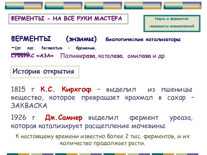 ФЕРМЕНТЫ (энзимы) -(от лат. fermentum – брожение, закваска), Наука о ферментах называется