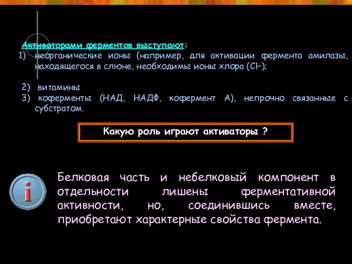 Активаторами ферментов выступают: неорганические ионы (например, для активации фермента амилазы, находящегося в