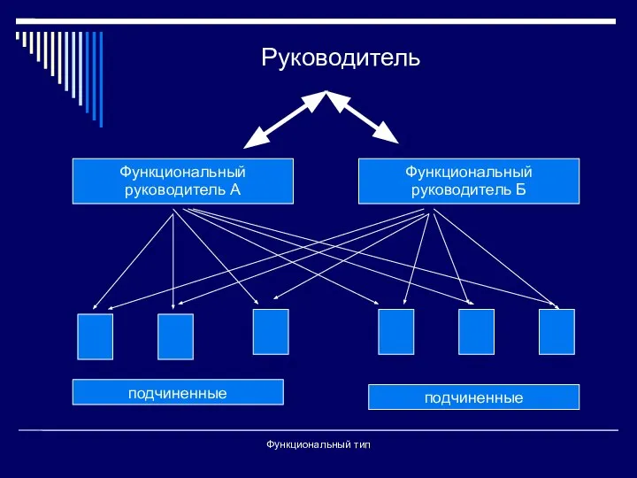 Руководитель Функциональный тип