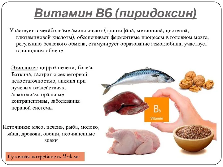 Витамин В6 (пиридоксин) Участвует в метаболизме аминокислот (триптофана, метионина, цистеина, глютаминовой кислоты),