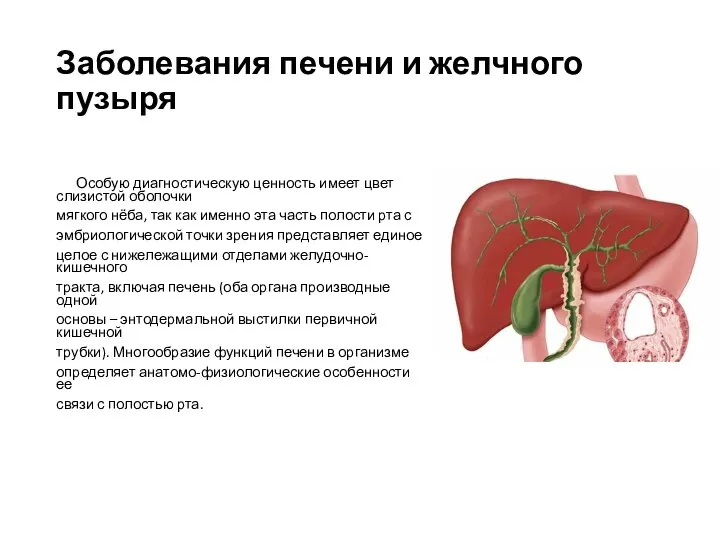 Заболевания печени и желчного пузыря Особую диагностическую ценность имеет цвет слизистой оболочки