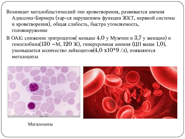 Возникает мегалобластический тип кроветворения, развивается анемия Адиссона-Бирмера (хар-ся нарушением функции ЖКТ, нервной