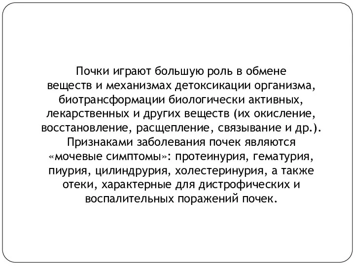 Почки играют большую роль в обмене веществ и механизмах детоксикации организма, биотрансформации