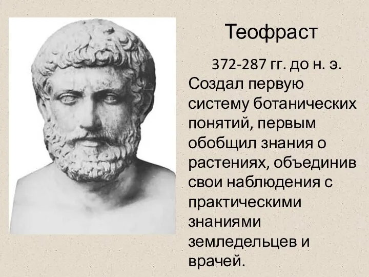 Теофраст 372-287 гг. до н. э. Создал первую систему ботанических понятий, первым