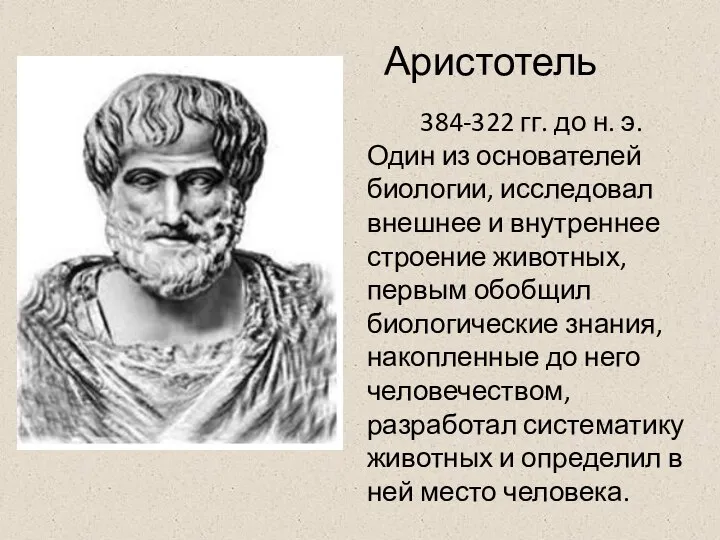 Аристотель 384-322 гг. до н. э. Один из основателей биологии, исследовал внешнее