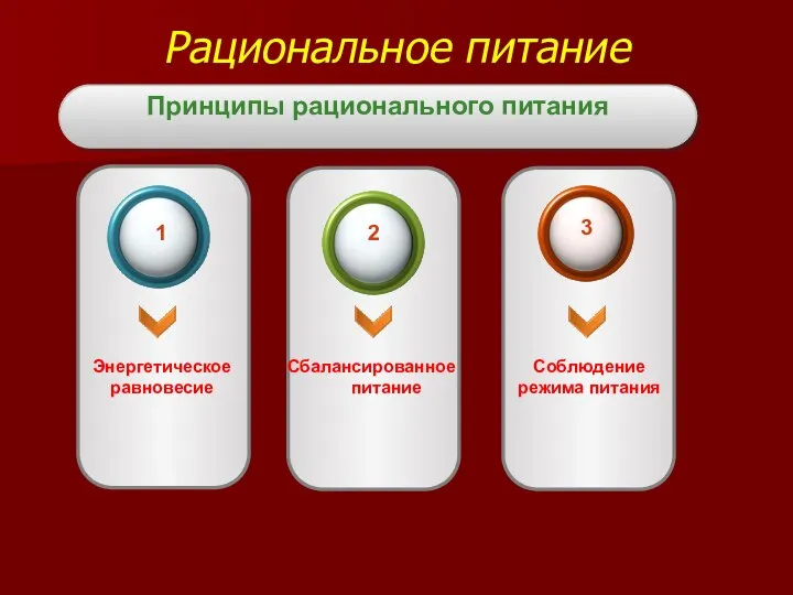 Рациональное питание Энергетическое равновесие Сбалансированное питание Соблюдение режима питания 1 3 2 Принципы рационального питания