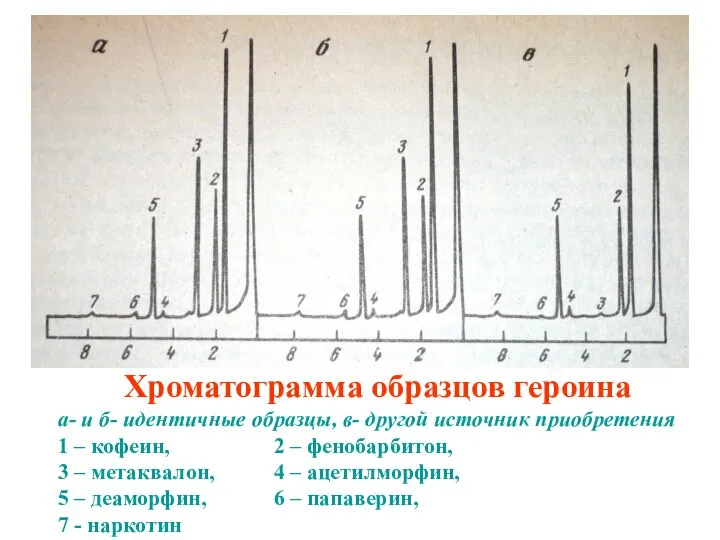 Хроматограмма образцов героина а- и б- идентичные образцы, в- другой источник приобретения