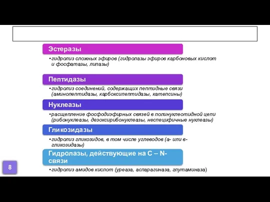 Ферменты, содержащиеся в лизосомах 8