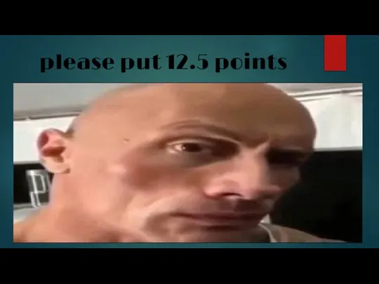 please put 12.5 points