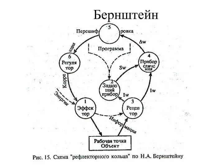 Бернштейн