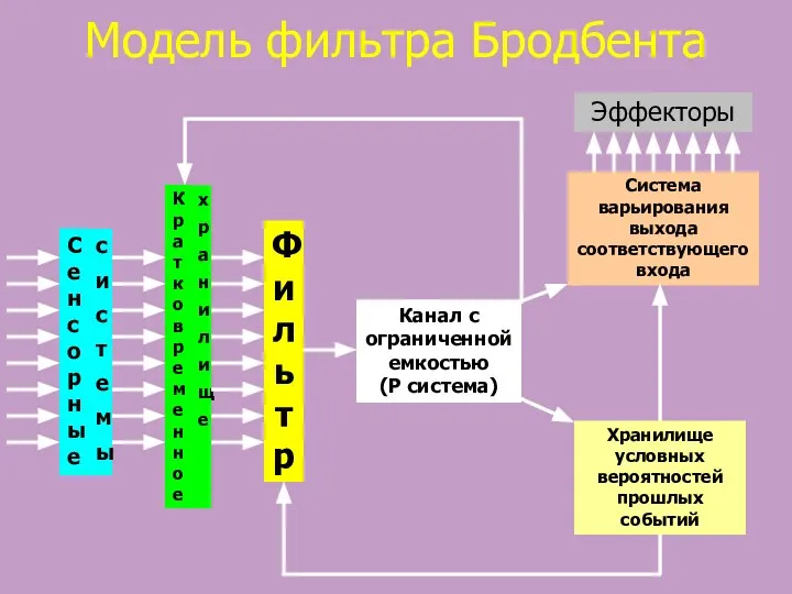 Модель фильтра Бродбента Фильтр Канал с ограниченной емкостью (P система) Эффекторы Система