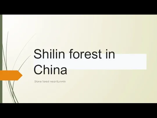 Shilin forest in China