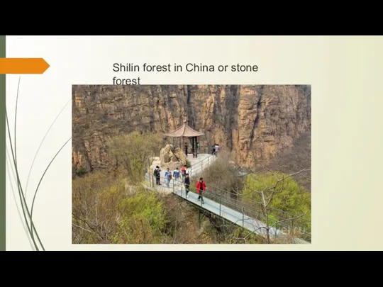 Shilin forest in China or stone forest