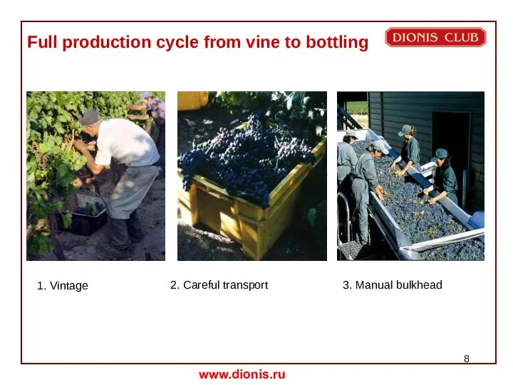 Full production cycle from vine to bottling 1. Vintage 2. Careful transport 3. Manual bulkhead