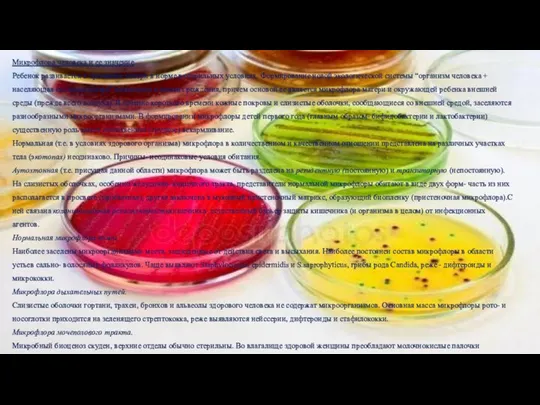 Микрофлора человека и ее значение Ребенок развивается в организме матери в норме