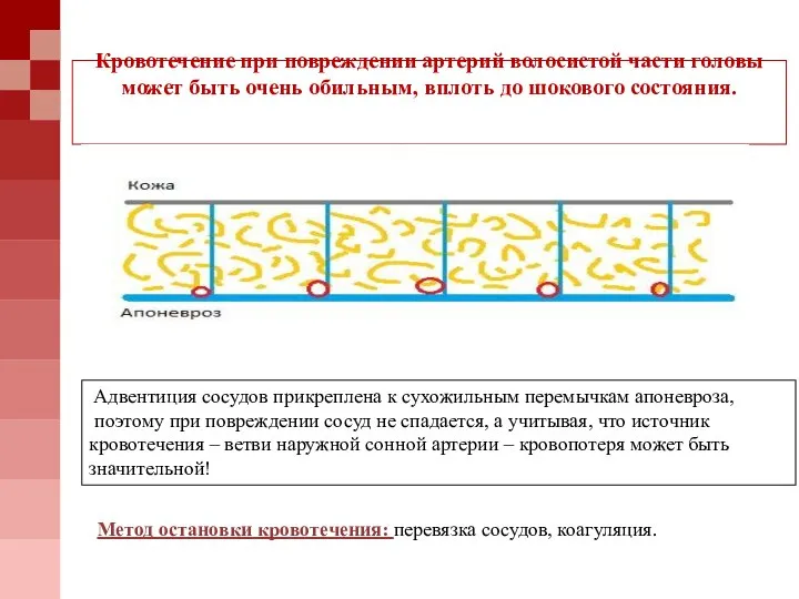 Кровотечение при повреждении артерий волосистой части головы может быть очень обильным, вплоть