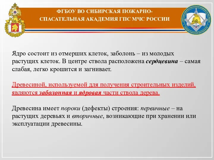 ФГБОУ ВО СИБИРСКАЯ ПОЖАРНО-СПАСАТЕЛЬНАЯ АКАДЕМИЯ ГПС МЧС РОССИИ Ядро состоит из отмерших