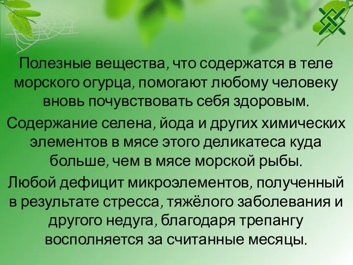 Полезные вещества, что содержатся в теле морского огурца, помогают любому человеку вновь