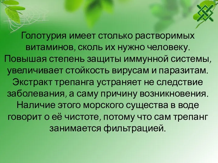 Голотурия имеет столько растворимых витаминов, сколь их нужно человеку. Повышая степень защиты